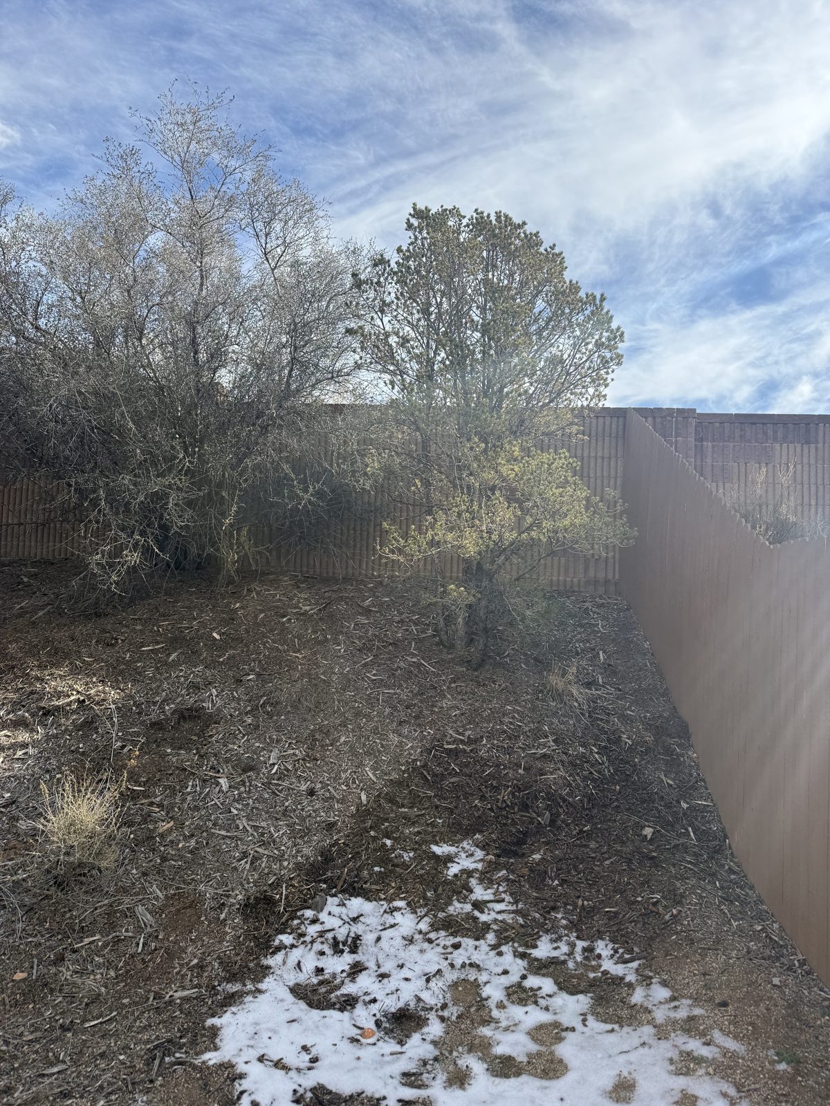 Yard brush removal
