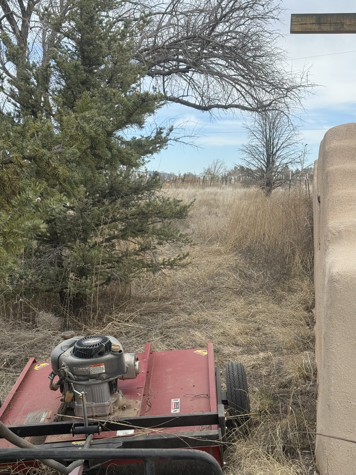 Overgrowth cut back