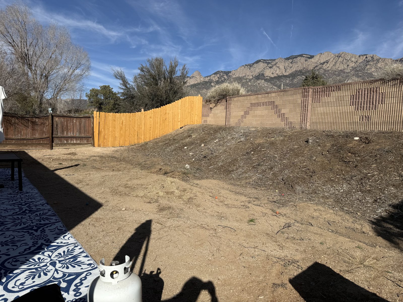 Backyard cleared & graded